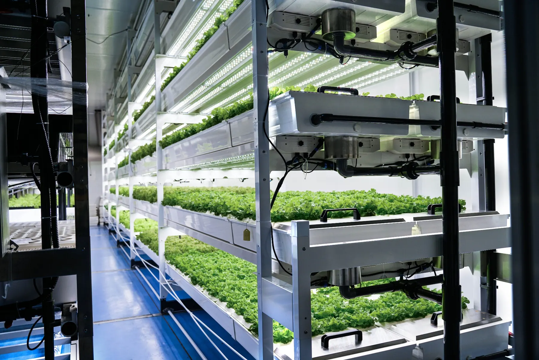 BioCube Modular controlled growing system